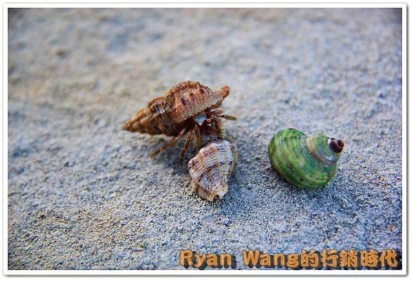 九份、金瓜石一日遊