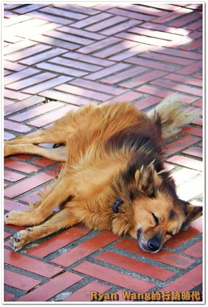 九份、金瓜石一日遊