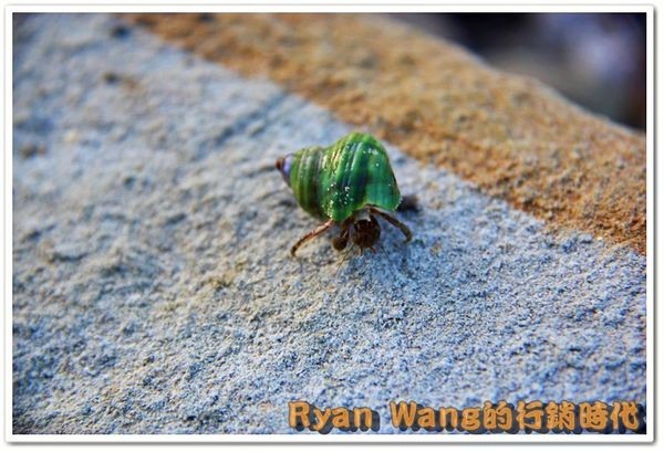 九份、金瓜石一日遊