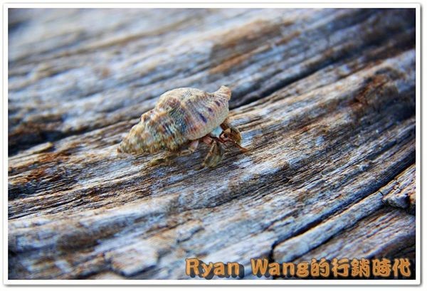 九份、金瓜石一日遊