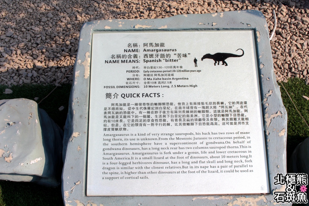 IMG_9678.JPG IMG_9678.JPG