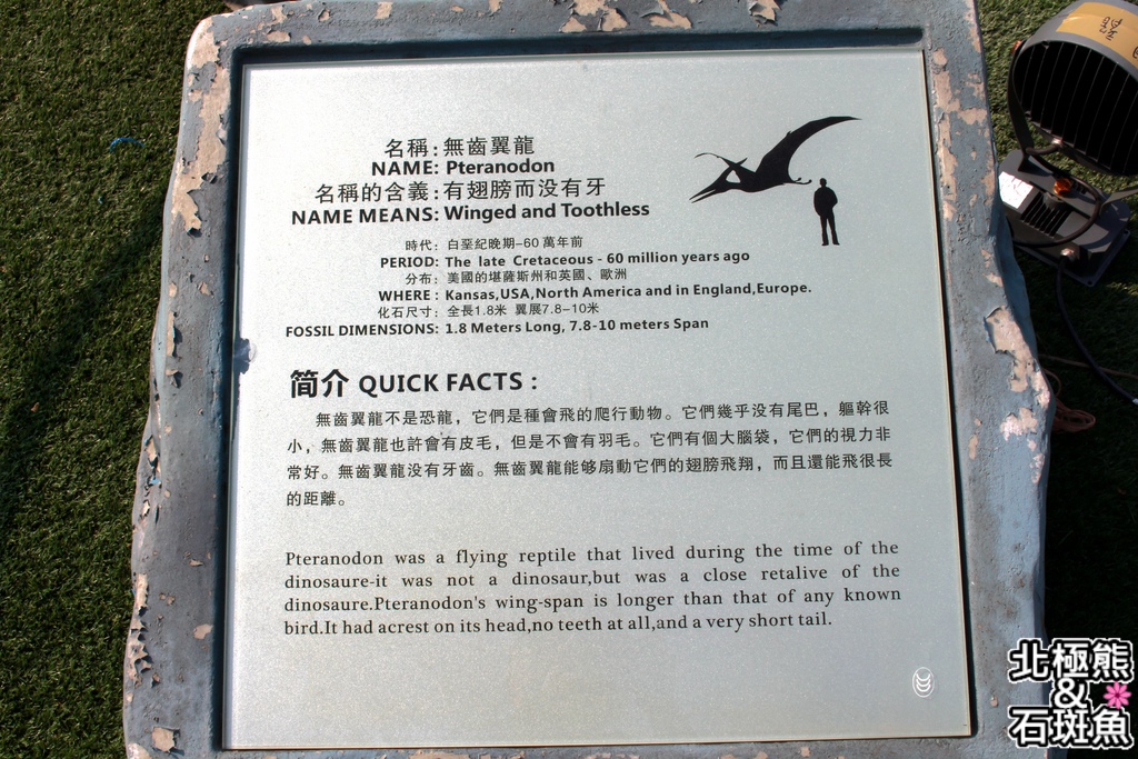 IMG_9607.JPG IMG_9607.JPG