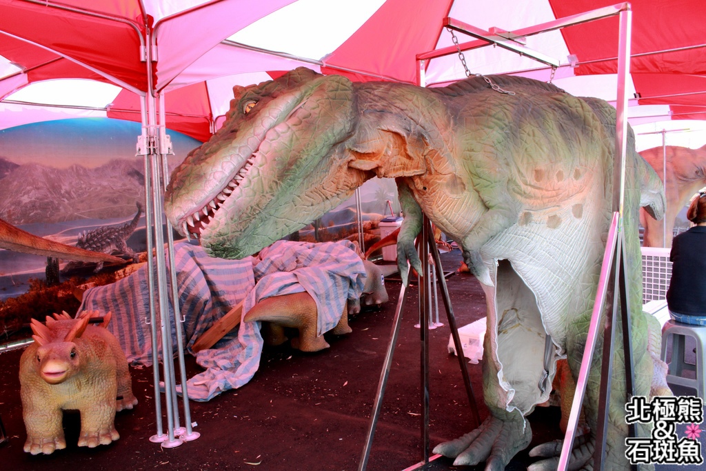 IMG_9732.JPG IMG_9732.JPG