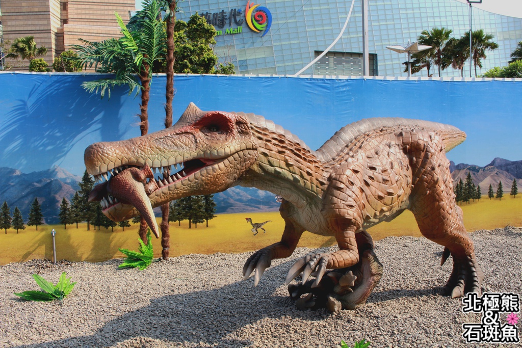 IMG_9657.JPG IMG_9657.JPG