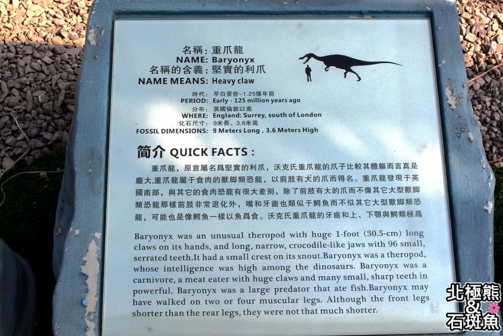 IMG_9655.JPG IMG_9655.JPG