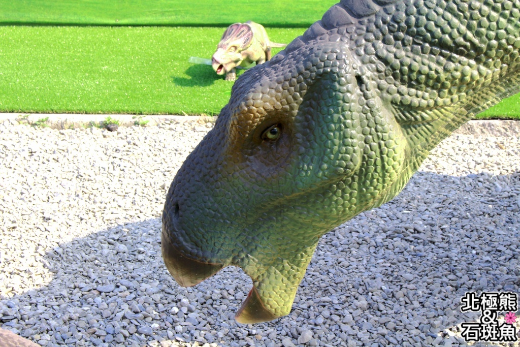 IMG_9630.JPG IMG_9630.JPG