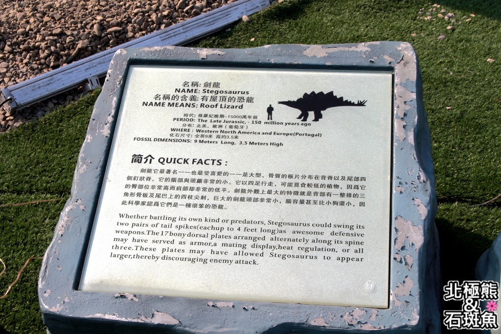 IMG_9681.JPG IMG_9681.JPG