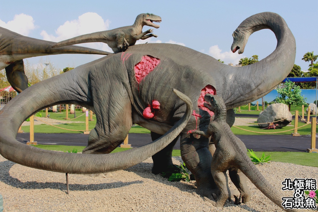 IMG_9598.JPG IMG_9598.JPG