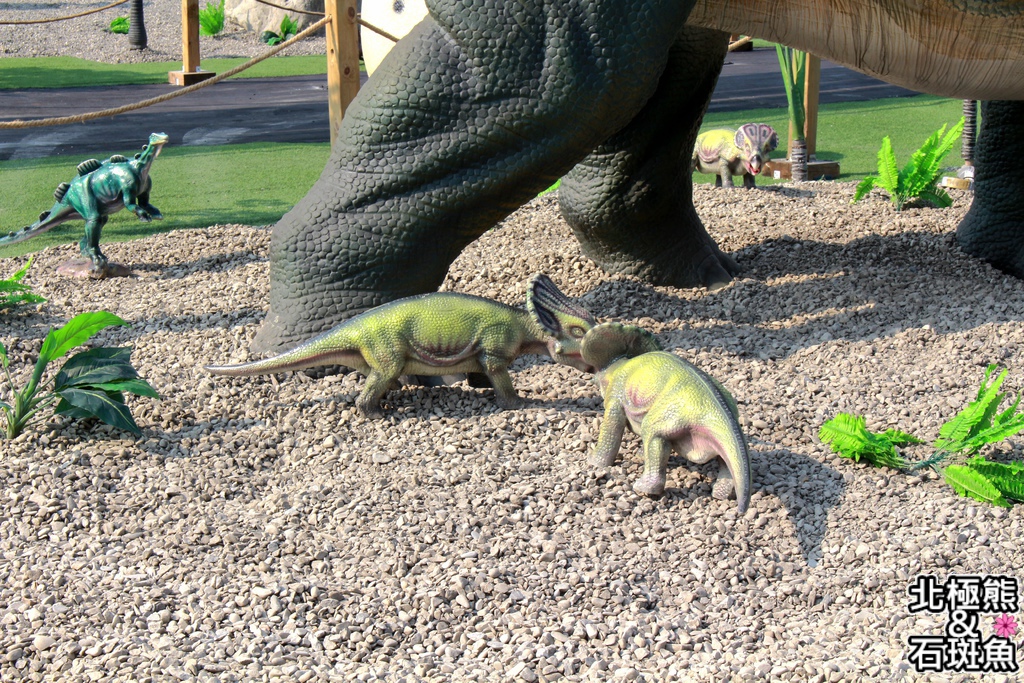 IMG_9675.JPG IMG_9675.JPG