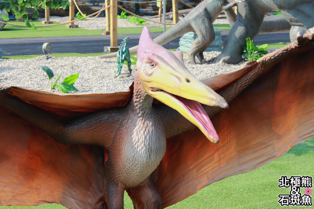 IMG_9612.JPG IMG_9612.JPG