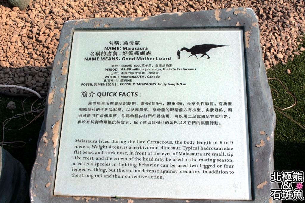 IMG_9694.JPG IMG_9694.JPG