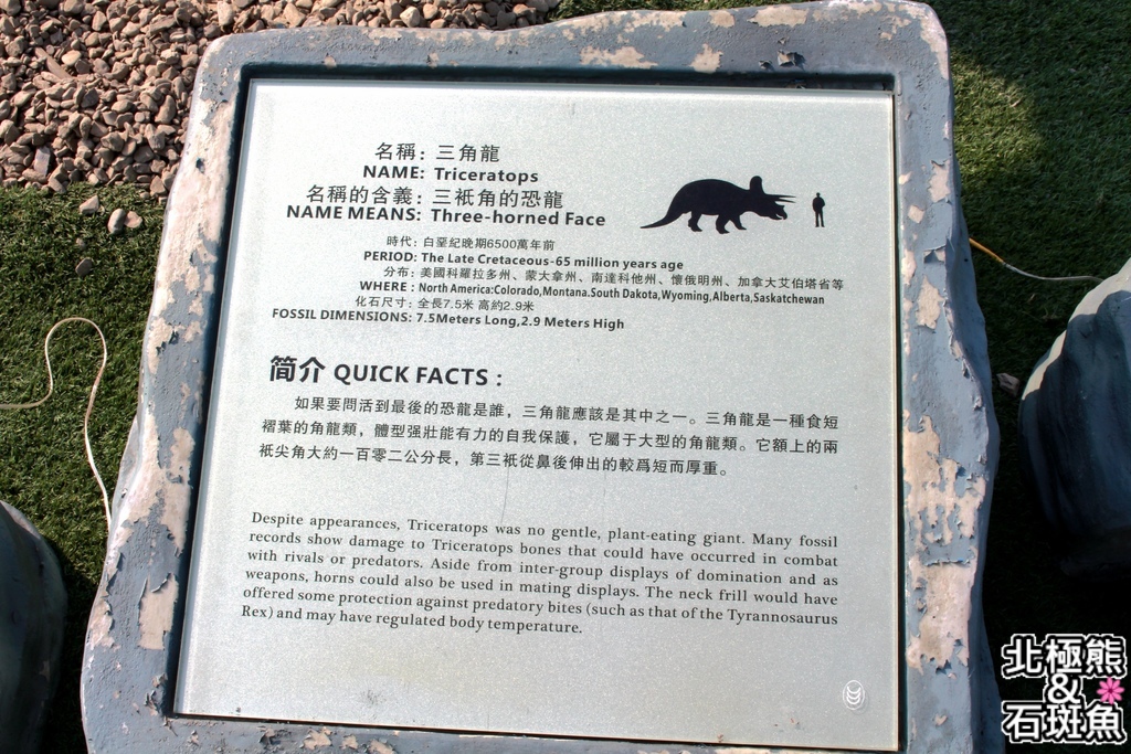 IMG_9664.JPG IMG_9664.JPG