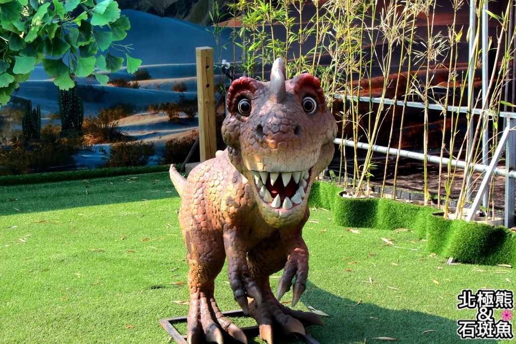 IMG_9578.JPG IMG_9578.JPG