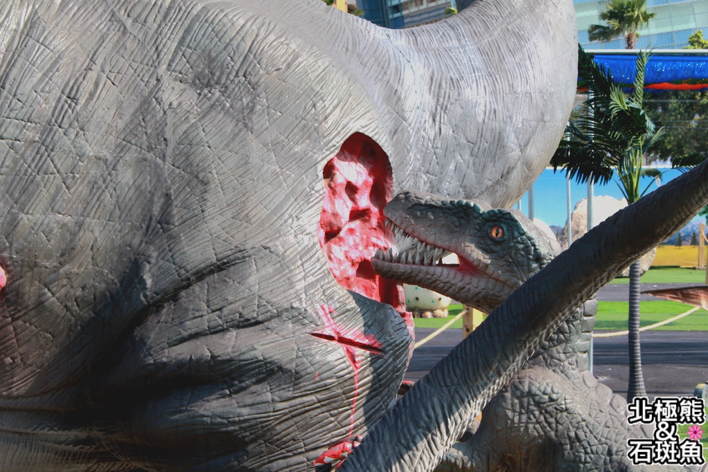 IMG_9602.JPG IMG_9602.JPG