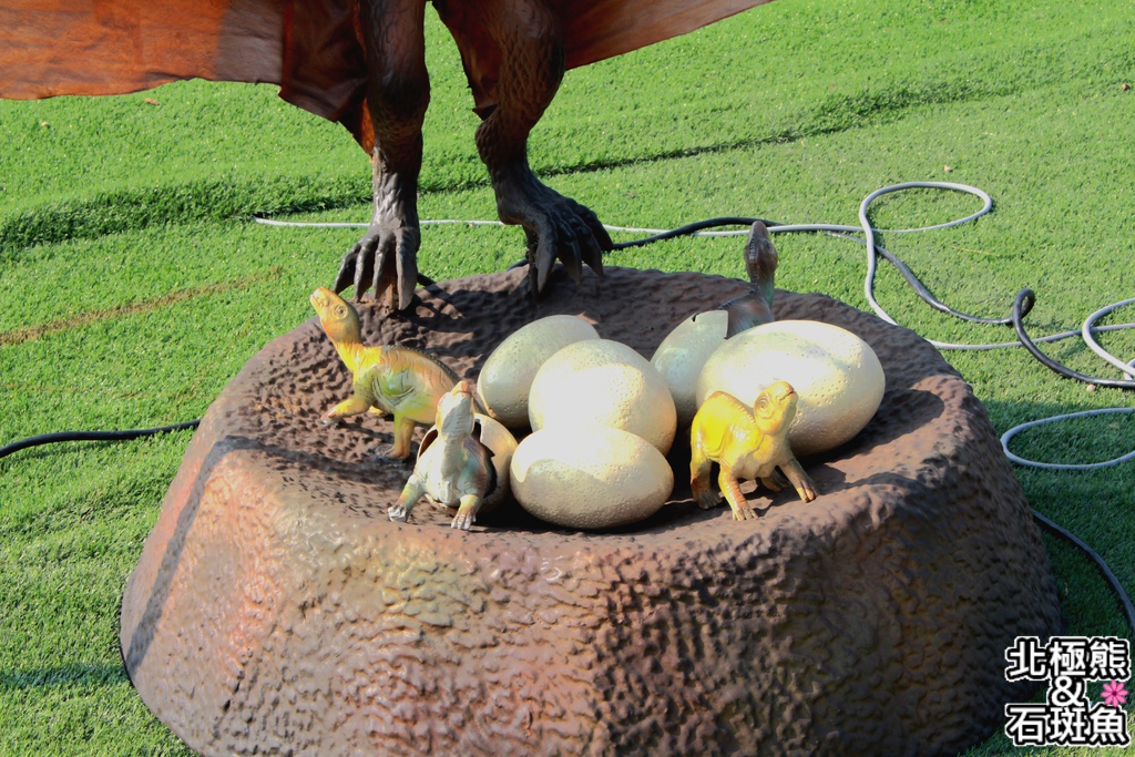 IMG_9613.JPG IMG_9613.JPG