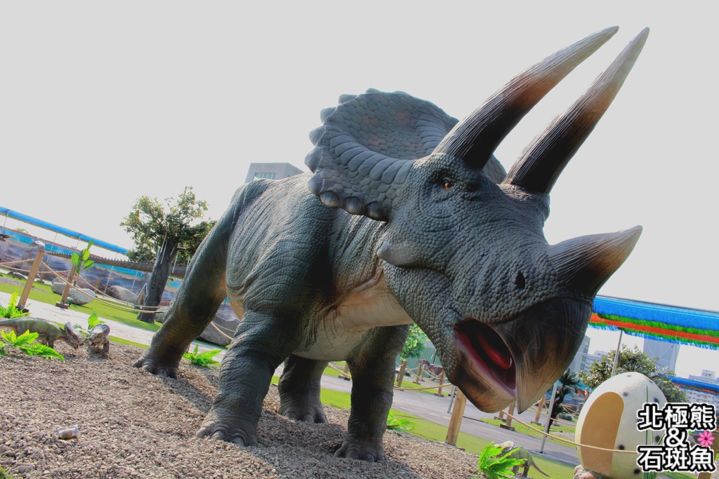 IMG_9668.JPG IMG_9668.JPG