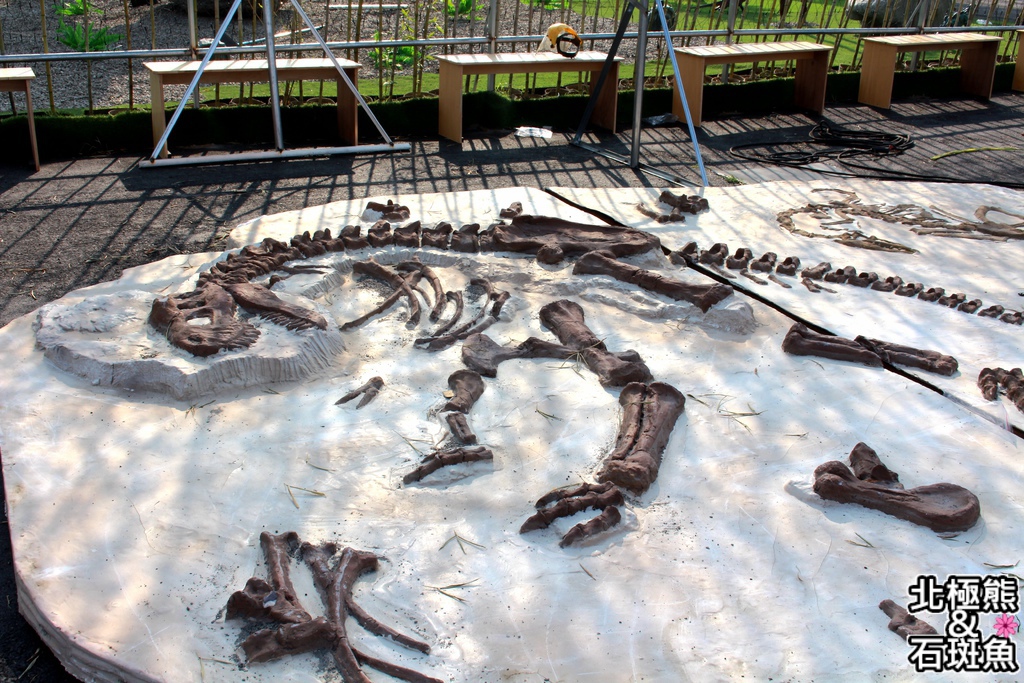 IMG_9728.JPG IMG_9728.JPG