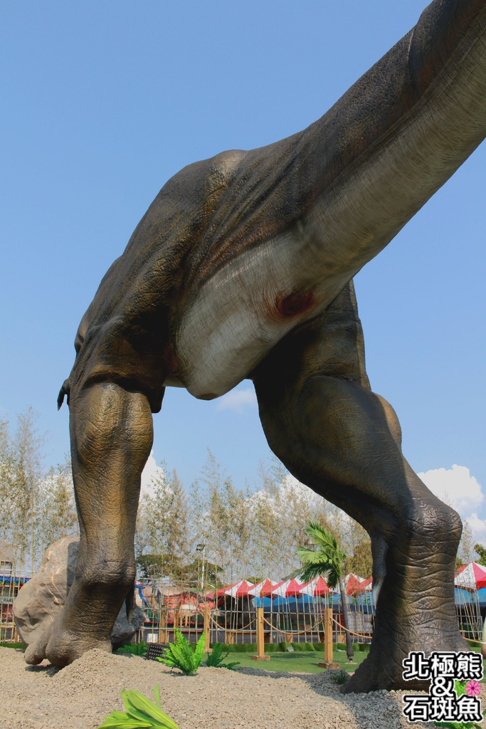 IMG_9594.JPG IMG_9594.JPG