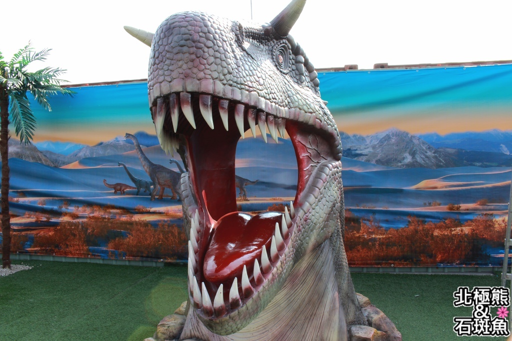 IMG_9690.JPG IMG_9690.JPG