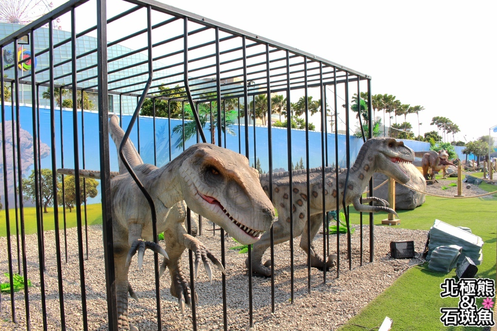 IMG_9638.JPG IMG_9638.JPG