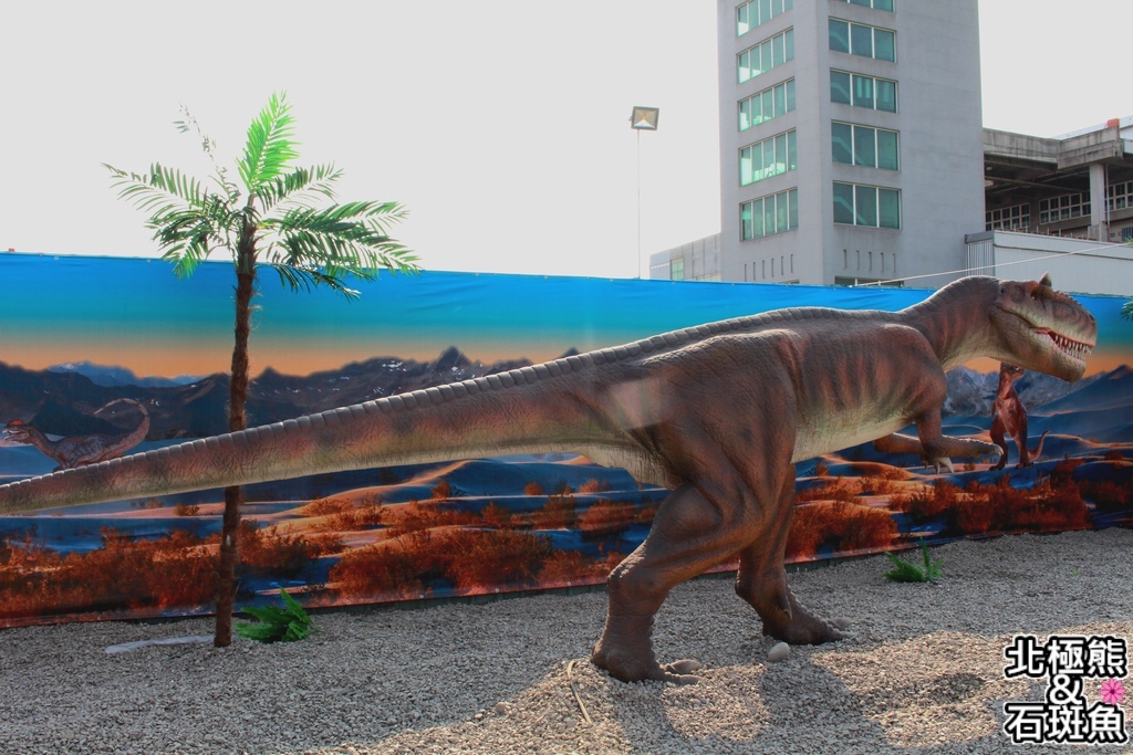 IMG_9693.JPG IMG_9693.JPG