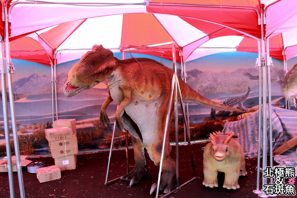 IMG_9733.JPG IMG_9733.JPG