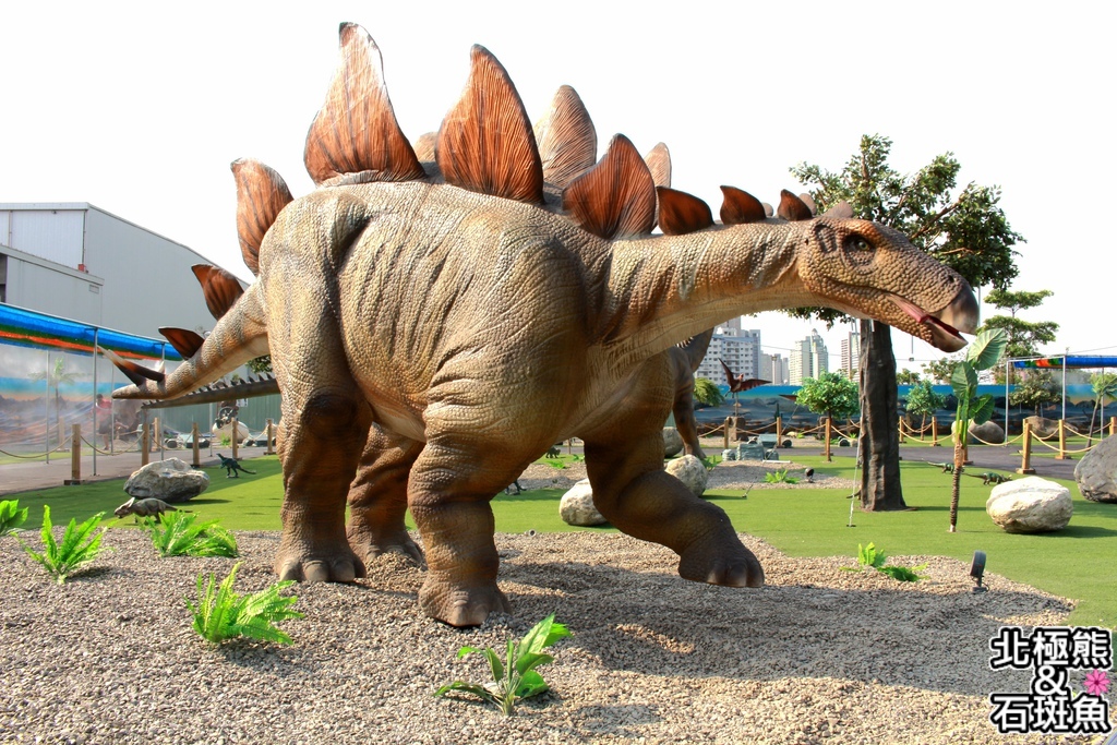 IMG_9684.JPG IMG_9684.JPG