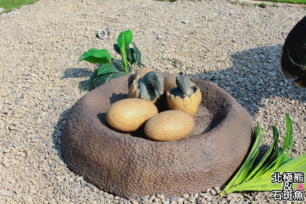 IMG_9631.JPG IMG_9631.JPG