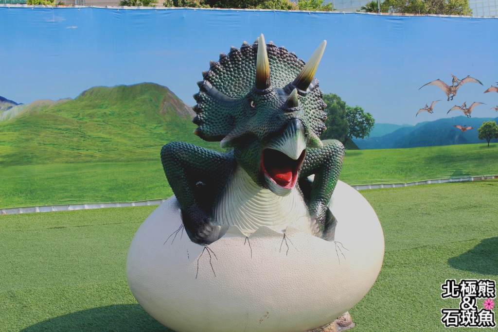 IMG_9623.JPG IMG_9623.JPG