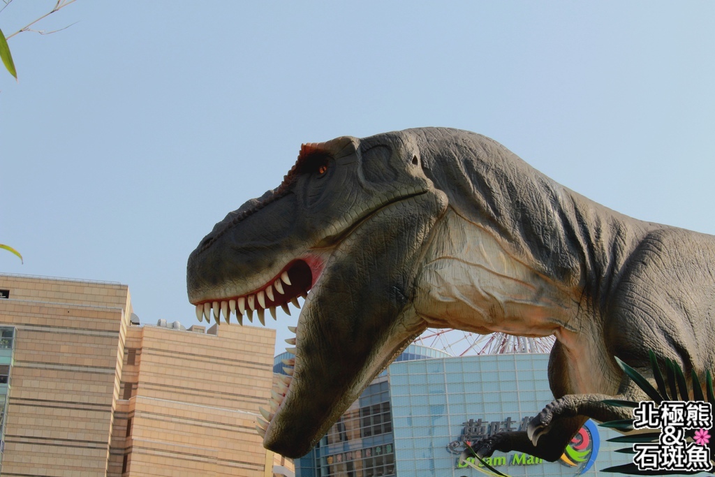 IMG_9585.JPG IMG_9585.JPG