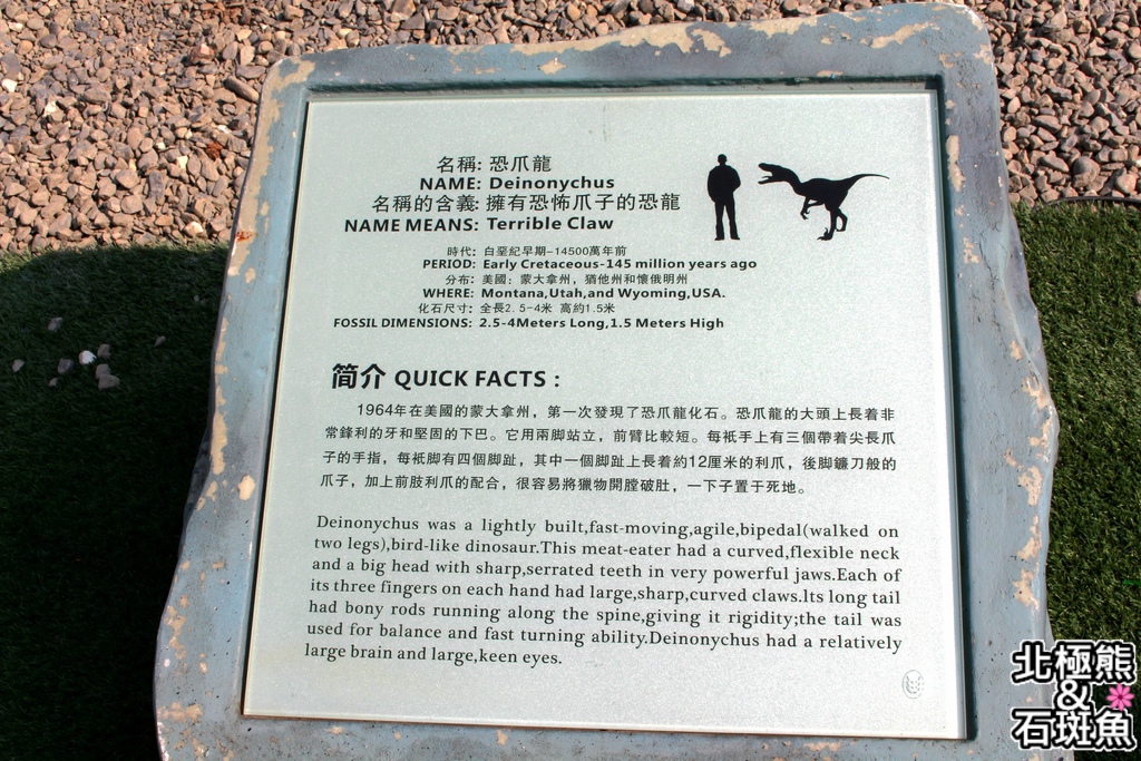 IMG_9604.JPG IMG_9604.JPG