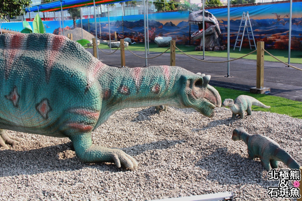 IMG_9699.JPG IMG_9699.JPG