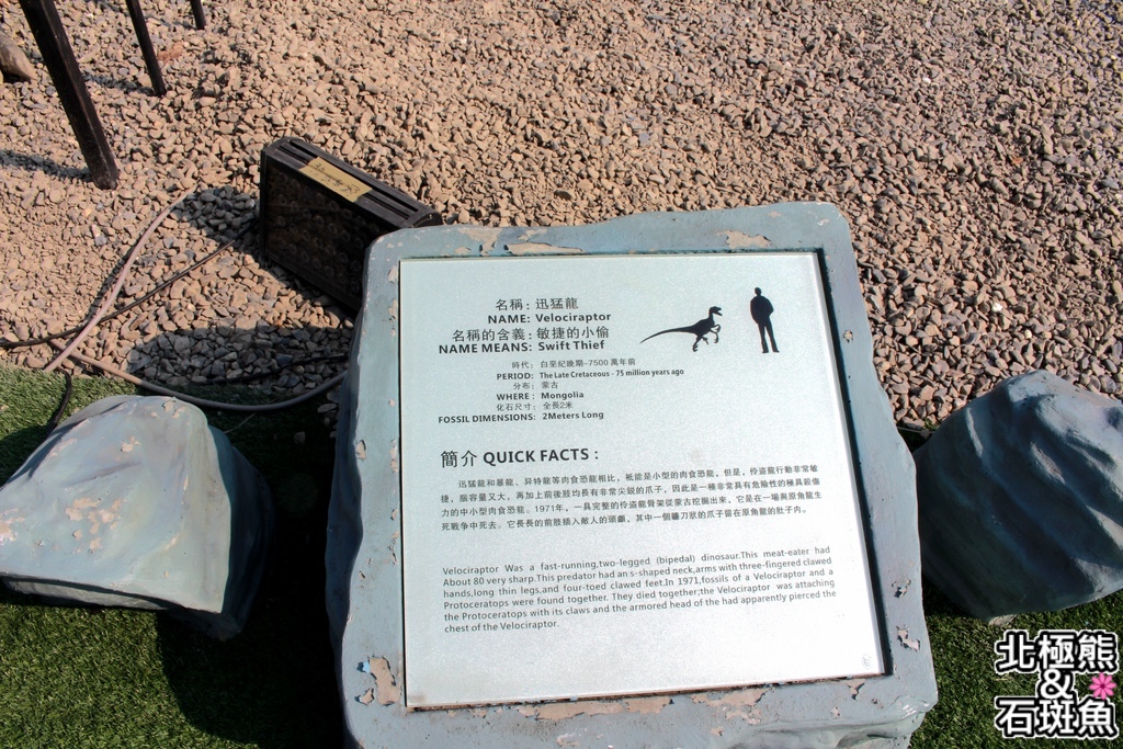 IMG_9646.JPG IMG_9646.JPG