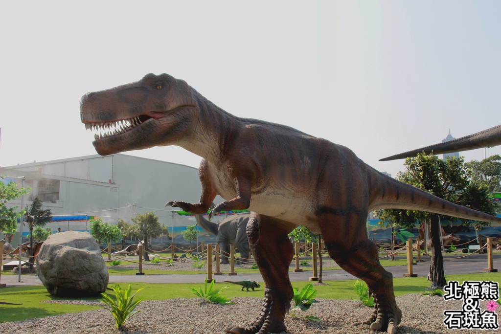 IMG_9621.JPG IMG_9621.JPG