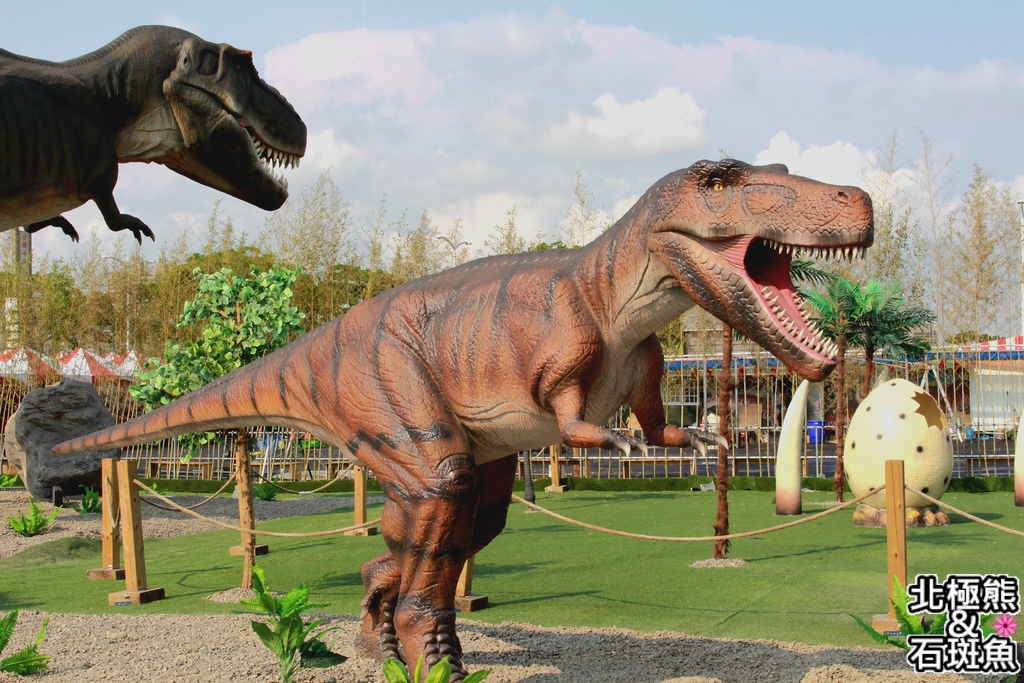 IMG_9616.JPG IMG_9616.JPG