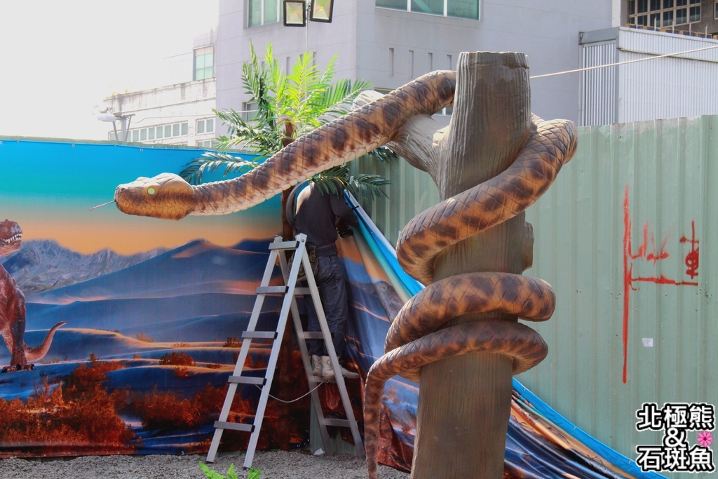 IMG_9709.JPG IMG_9709.JPG