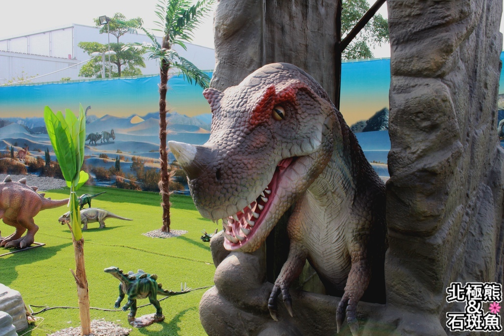 IMG_9574.JPG IMG_9574.JPG