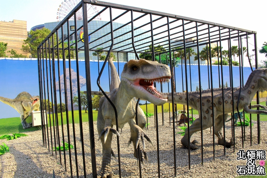 IMG_9640.JPG IMG_9640.JPG