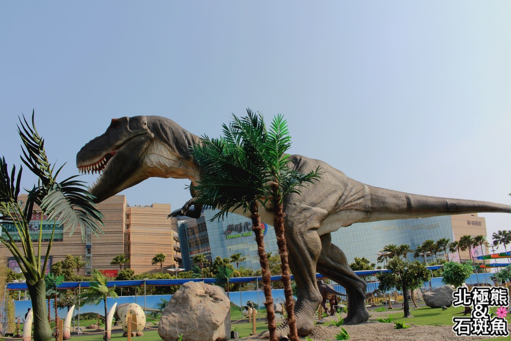 IMG_9582.JPG IMG_9582.JPG