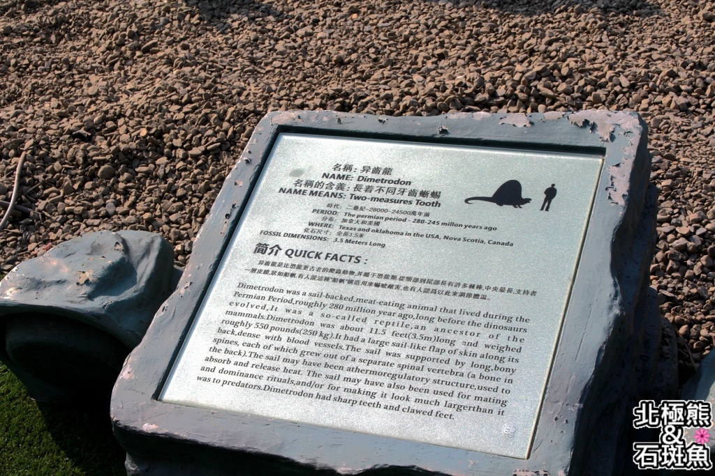 IMG_9591.JPG IMG_9591.JPG