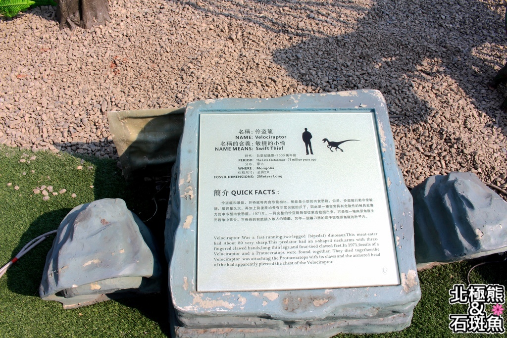 IMG_9636.JPG IMG_9636.JPG