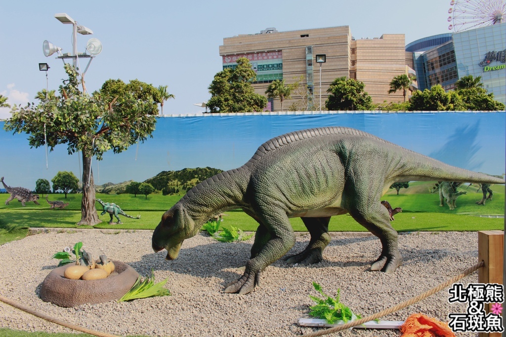 IMG_9632.JPG IMG_9632.JPG