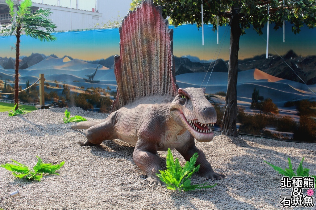 IMG_9590.JPG IMG_9590.JPG