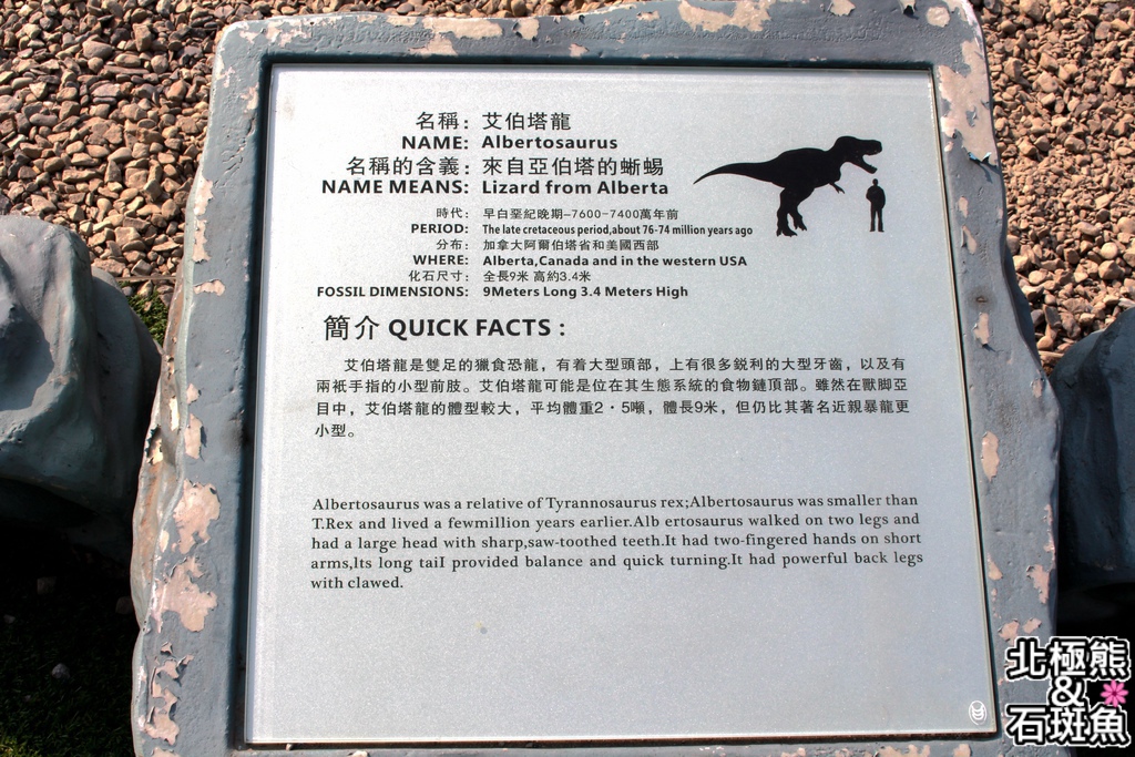 IMG_9620.JPG IMG_9620.JPG