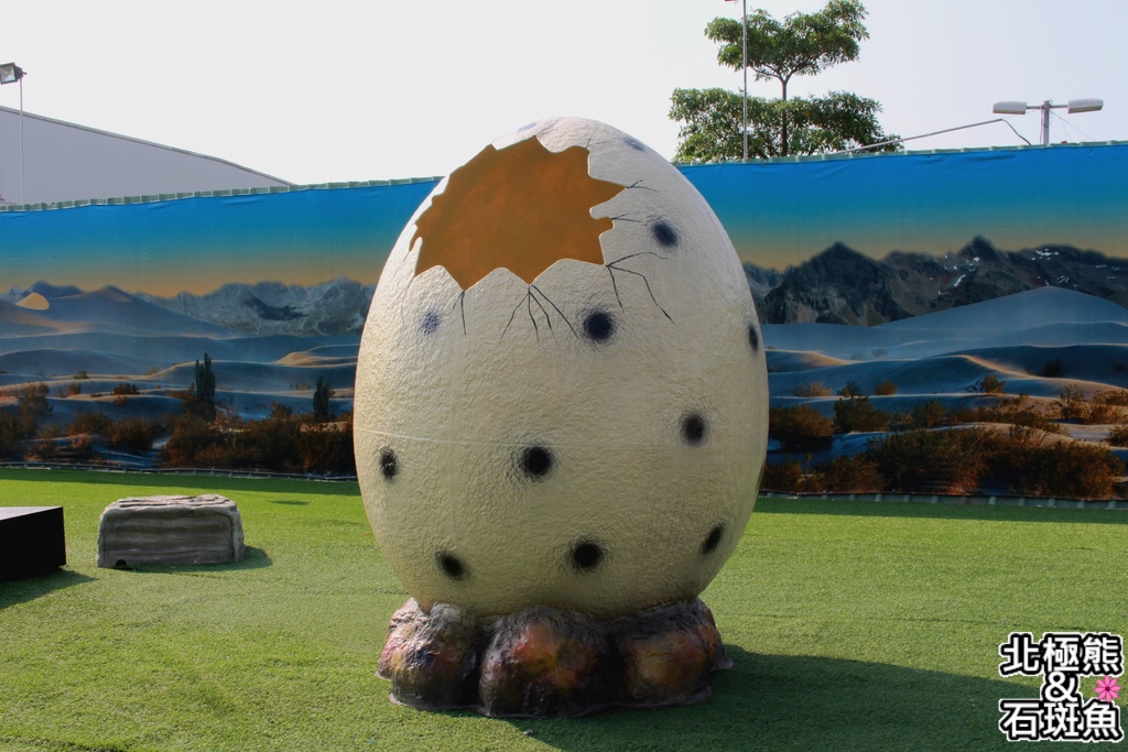 IMG_9595.JPG IMG_9595.JPG