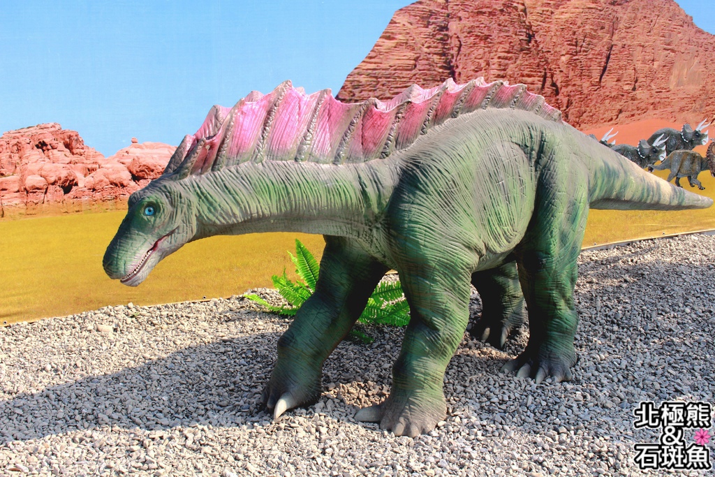 IMG_9677.JPG IMG_9677.JPG