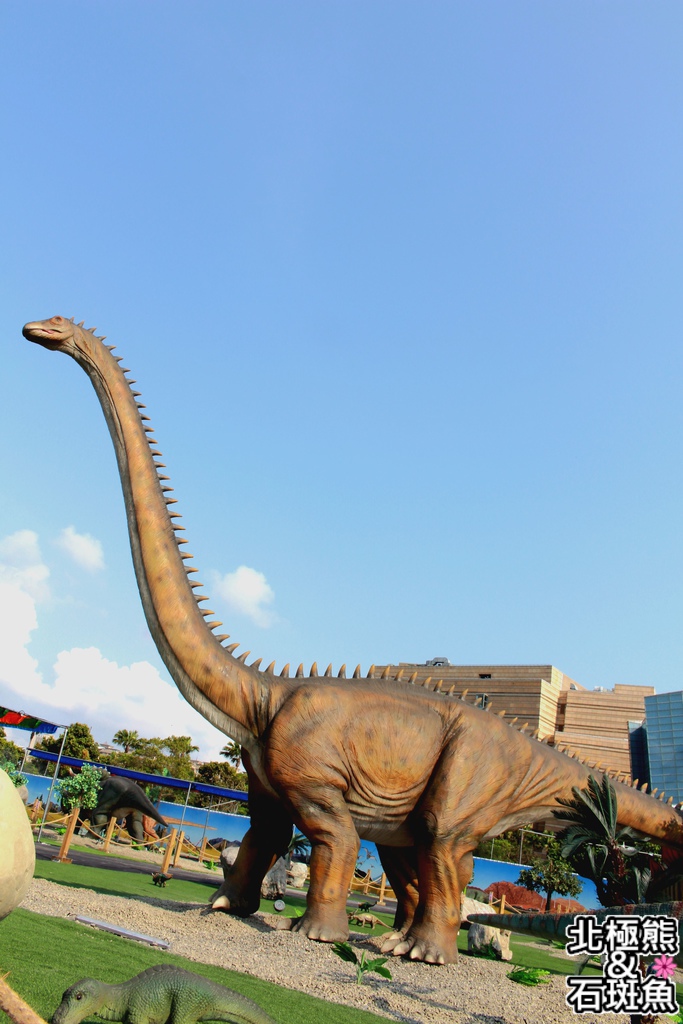 IMG_9702.JPG IMG_9702.JPG