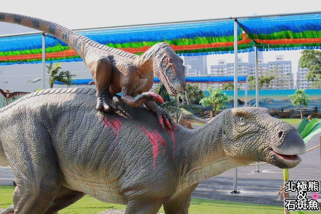 IMG_9653.JPG IMG_9653.JPG