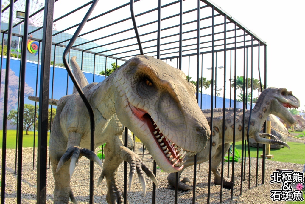 IMG_9645.JPG IMG_9645.JPG