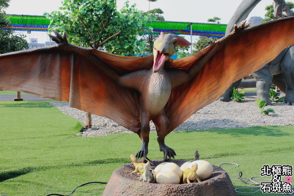 IMG_9611.JPG IMG_9611.JPG